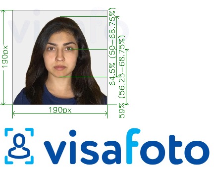  کی تصویر کی مثال VFSglobal.com کے ذریعے بھارت ویزا 190x190 پی ایکس سائز کی تفصیلات كے مطابق بنائی گئی ،  